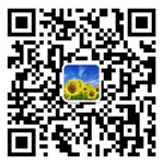 洛陽(yáng)鉬業(yè)